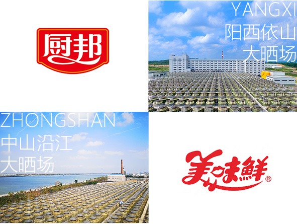 云开体app官网入口下载