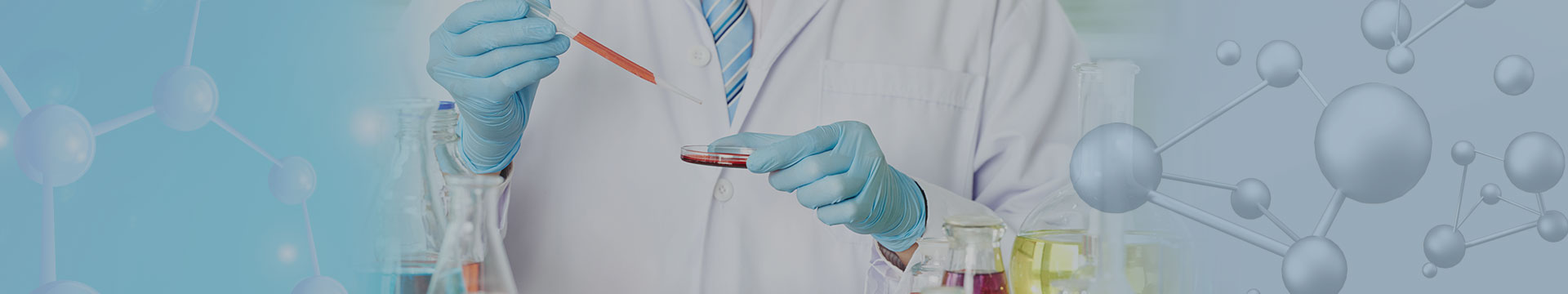 云开体app官网入口下载