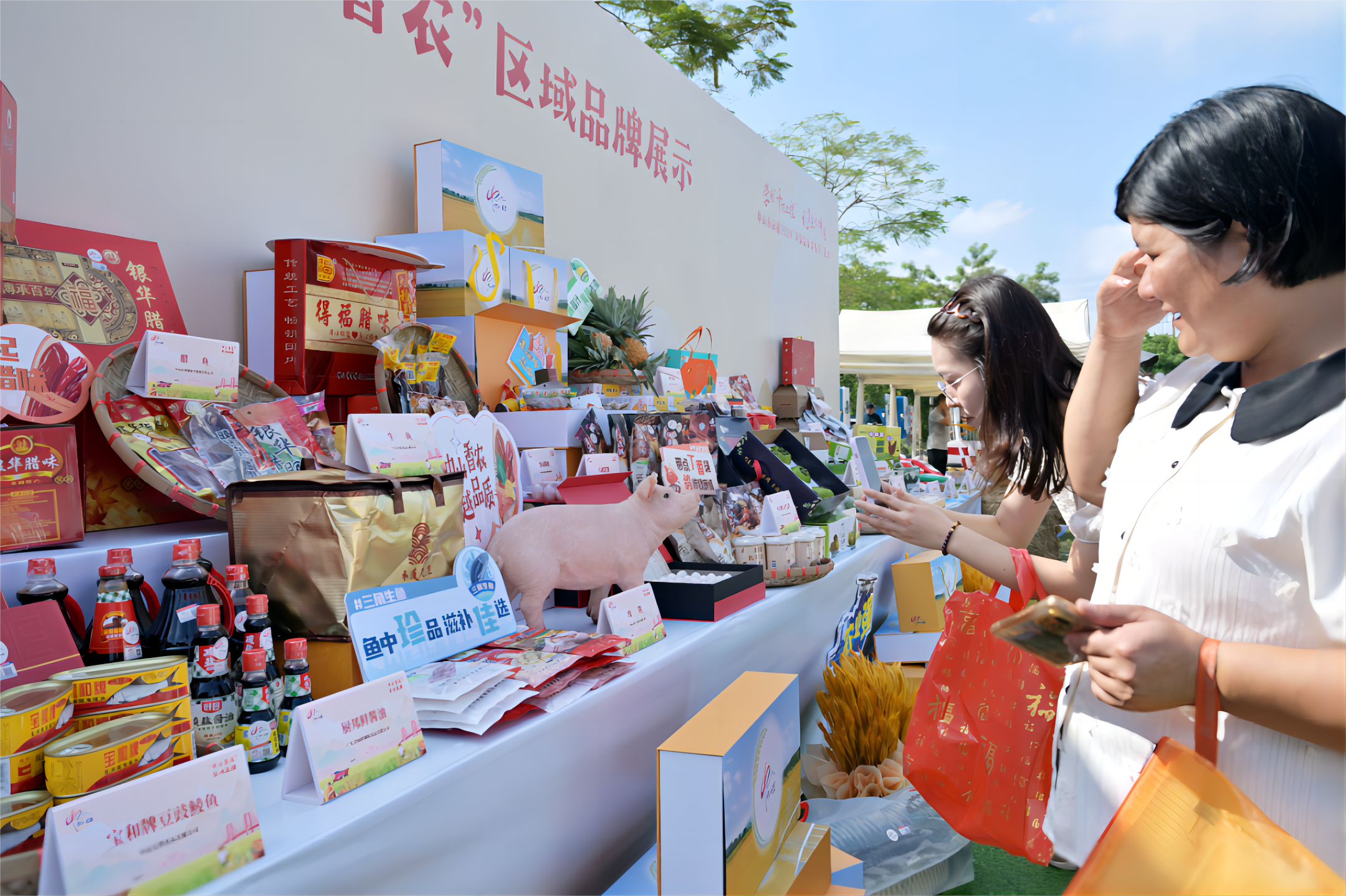 云开体app官网入口下载