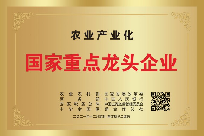 云开体app官网入口下载